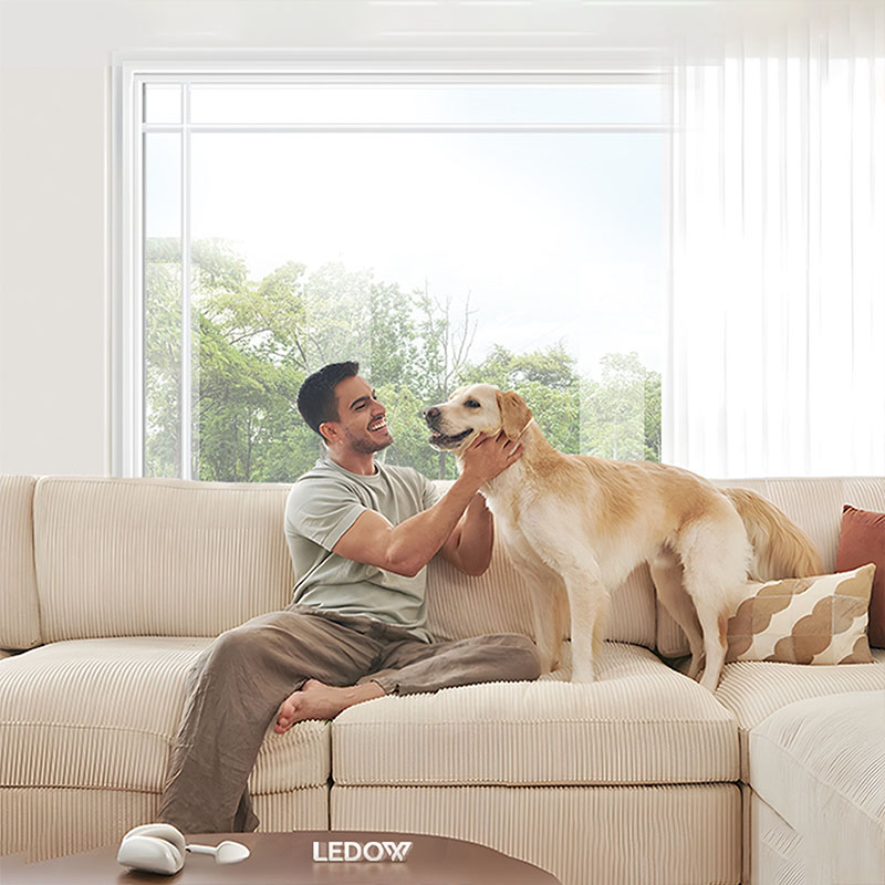 LD-P85 fixed windows3